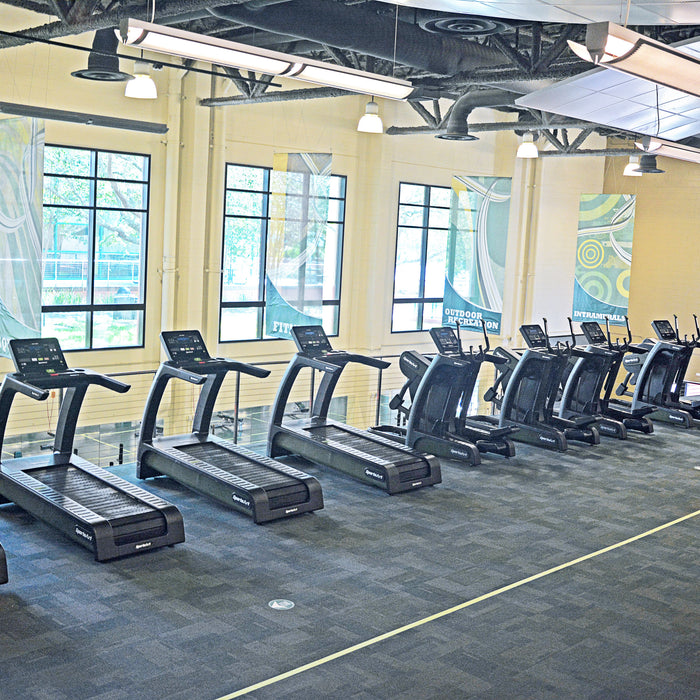 Bandit Fitness installs SportsArt Eco-Powr for USF Tampa