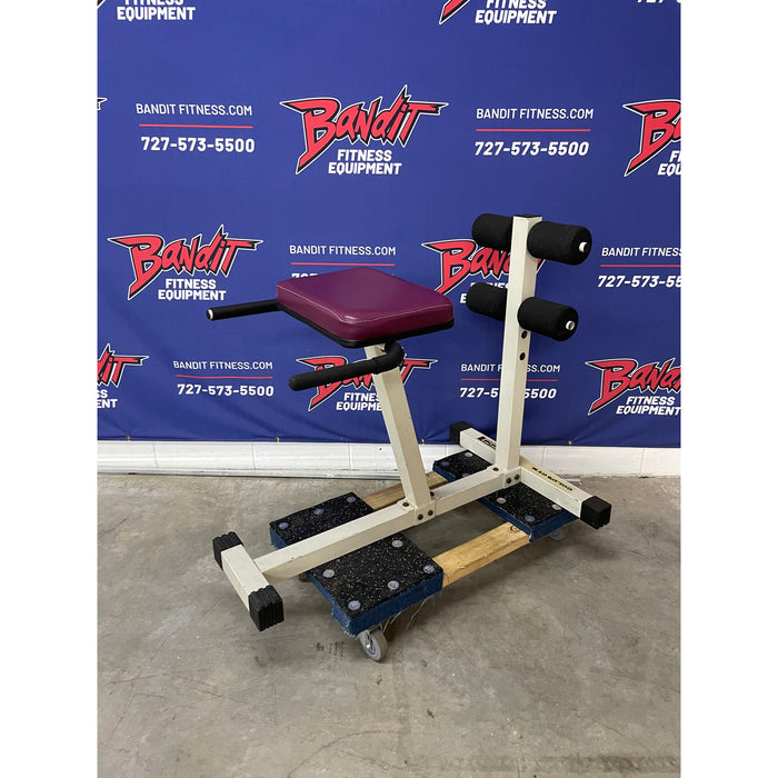 Used Golds Gym Roman Chair