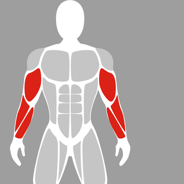 Bicep + Tricep Machines