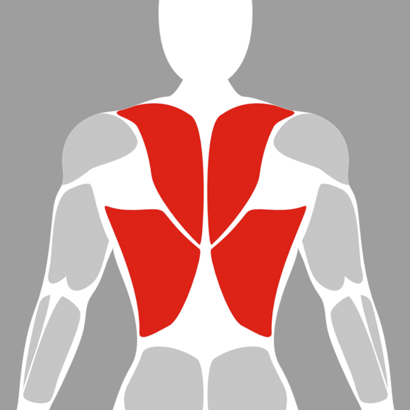 Back Machines — Bandit Fitness Equipment