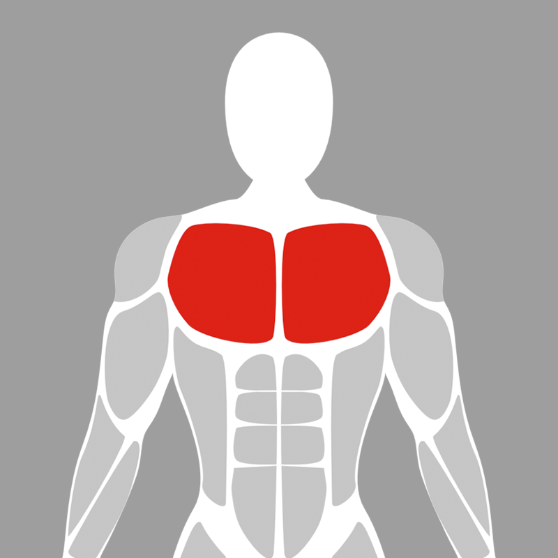 Chest Machines