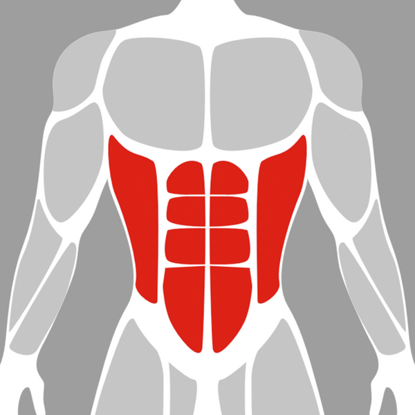 Core / Abdominal Machines
