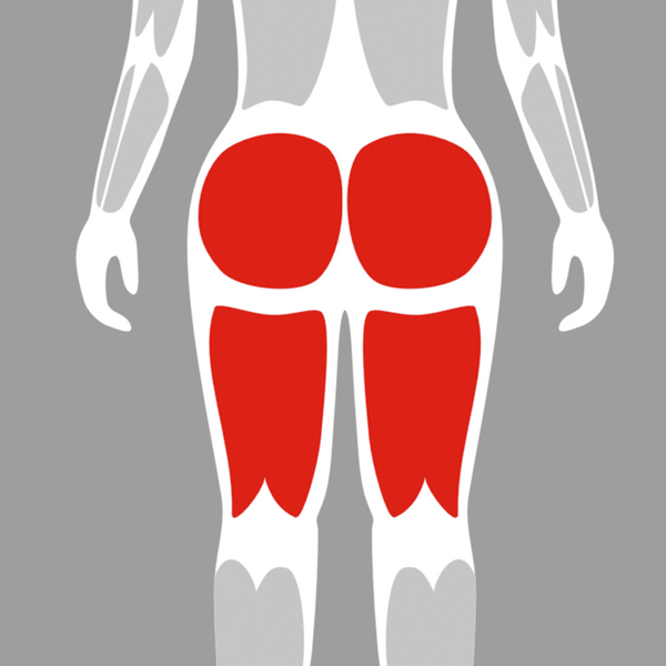 Hip + Glute Machines