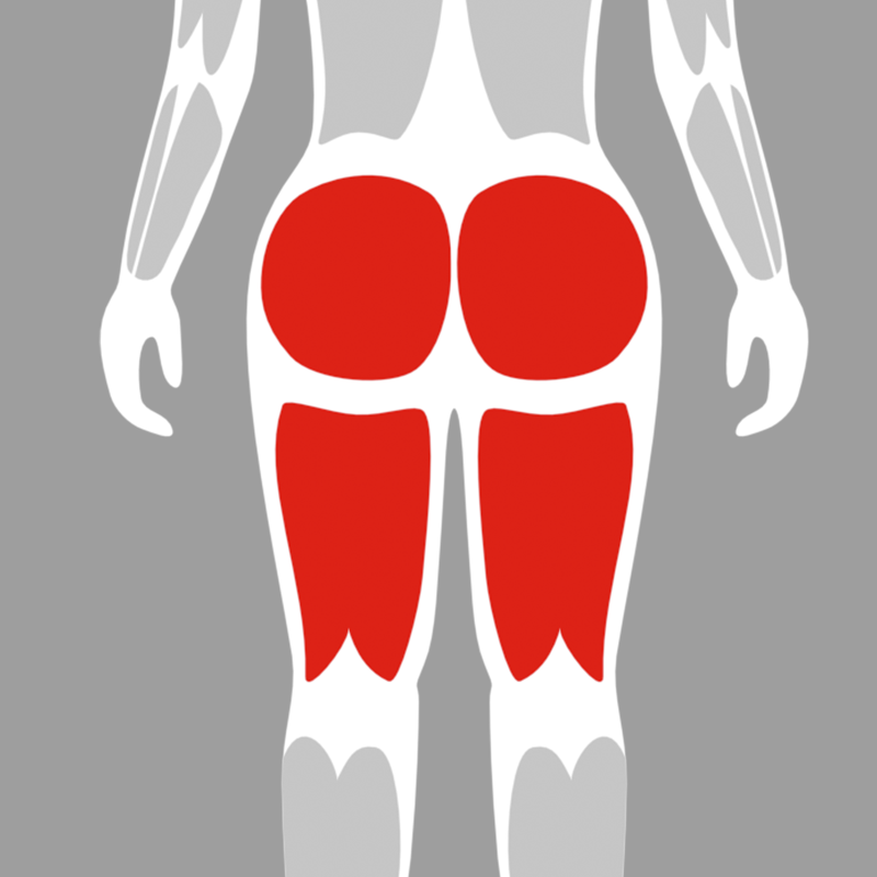 Hip / Glute Machines