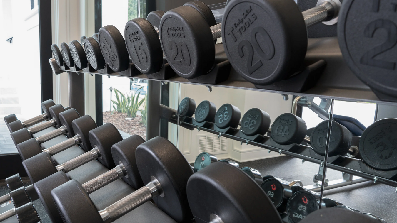 Corporate Wellness Gym Equipment