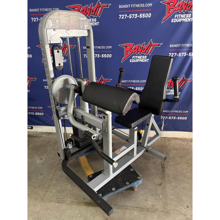 Used Inflight Fitness Biceps Triceps