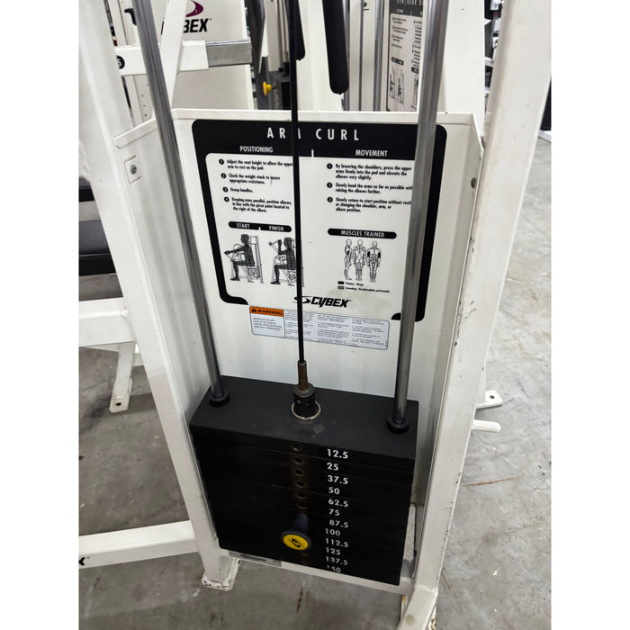 Used Cybex Biceps Curl
