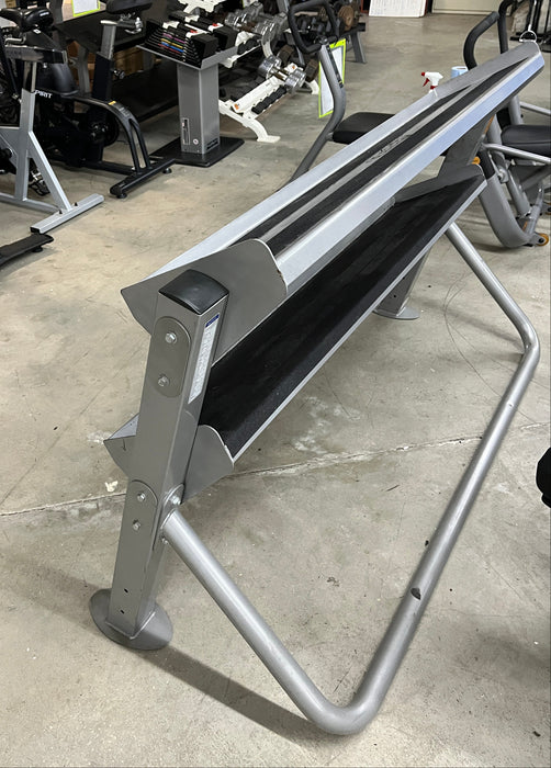 Used HOIST Fitness HF-5461 Dumbbell Rack